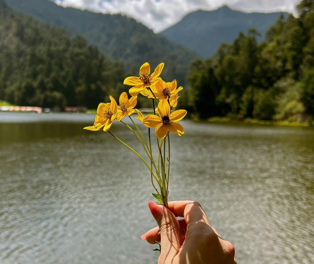 pexels diana reyes 227887231 28937852 1