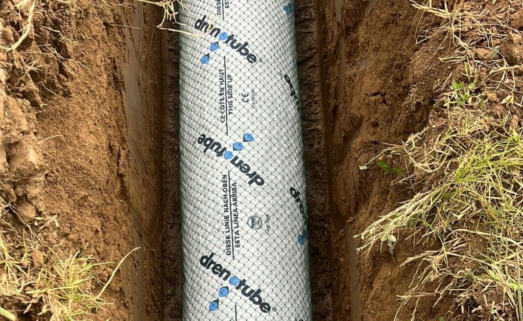 IMG 20250225 WA0006 Short